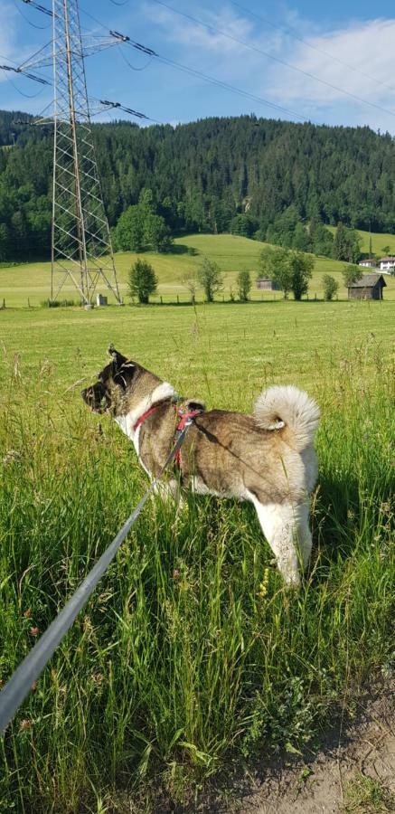 Konigslehen
